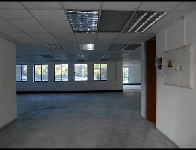 229M² OFFICE TO LET IN FERNDALE